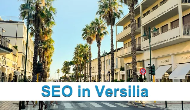 Consulente SEO in Versilia